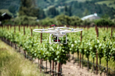 Разработан дрон, который подсчитывает урожай с воздуха